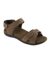 Scholl barwon - F262021019