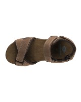 Scholl barwon - F262021019