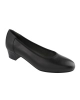 Scholl verbena - F263601004