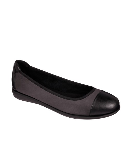 Scholl akita - F272861029