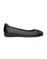 Scholl akita - F272861029