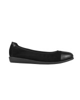 Scholl Akita - F267951004