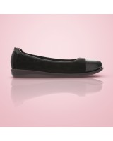 Scholl Akita - F267951004
