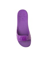 Scholl scholl sun - F252921050