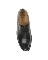 Scholl pilio - F264201004
