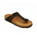 Scholl evis - F256191004