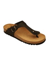 Scholl evis - F256191004