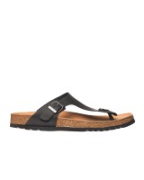 Scholl evis - F256191004