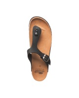 Scholl evis - F256191004