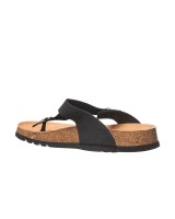 Scholl evis - F256191004