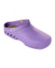 Scholl Clog Evo Lila